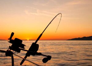 Overnight Fishing Charter - Rod and Reel