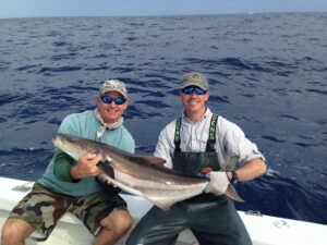 Cobia Fish