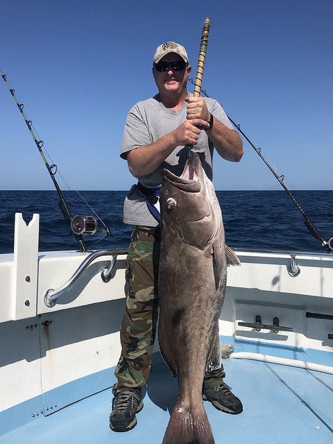 man holding grouper fish on boat