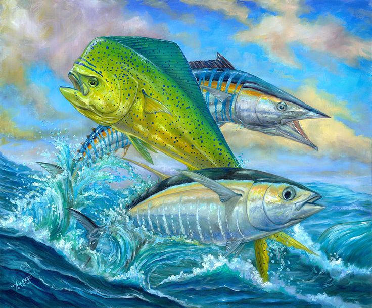 Wahoo Mahi and Tuna Art