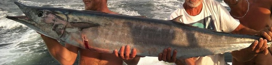 wahoo catch held by 2 men