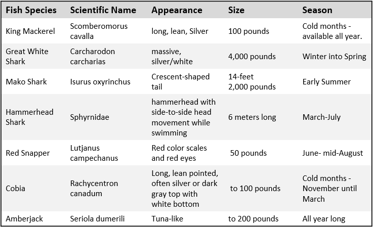 Gulf of Mexico Fishing Chart